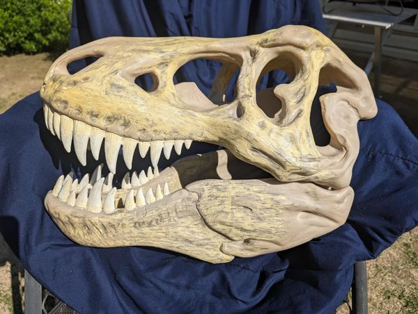 Painted dinosaur skull replica